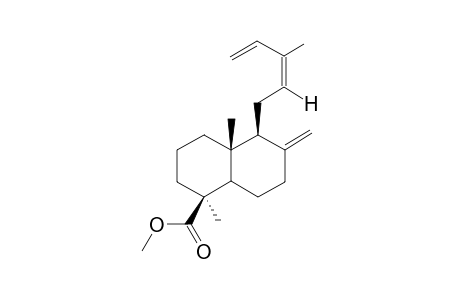 (1S,4aR,5S)-1,4a-dimethyl-6-methylene-5-[(2Z)-3-methylpenta-2,4-dienyl]decalin-1-carboxylic acid methyl ester