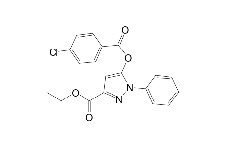 Ethyl 5-[4-chloro(benzoyl)oxy]-1-phenyl-1H-pyrazole-3-carboxylate
