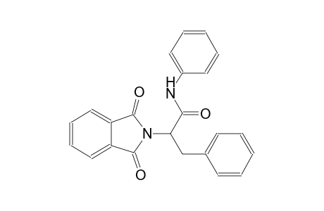 2-(1,3-dioxo-1,3-dihydro-2H-isoindol-2-yl)-N,3-diphenylpropanamide