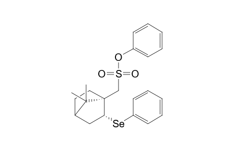 (7,7-Dimethyl-2-exo-phenylselenylbicyclo[2.2.1]hept-1-yl)methane sulfonic acid phenyl ester