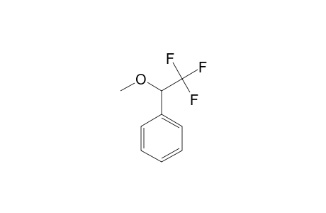 (+/-)-2,2,2-TRIFLUORO-1-METHOXYETHYLBENZENE