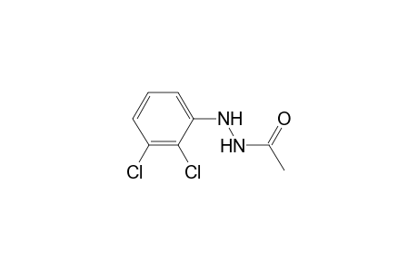 Acetic acid N'-(2,3-dichloro-phenyl)-hydrazide
