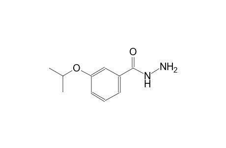 3-isopropoxybenzohydrazide