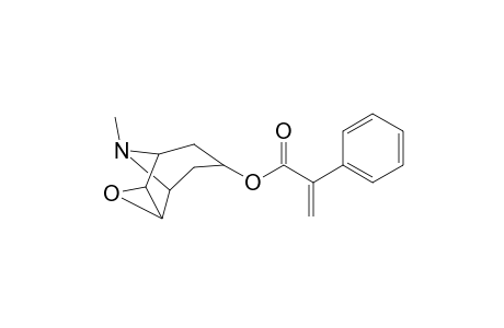 N-methyl-3-(1-oxo-2-phenyl-2-propenoxy)-6,7-epoxy-8-azabicyclo[3.2.1]octane