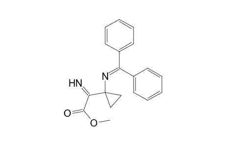 Methyl 2-[1-(diphenylmethyleneamino)cyclopropyl]-2-iminoacetate