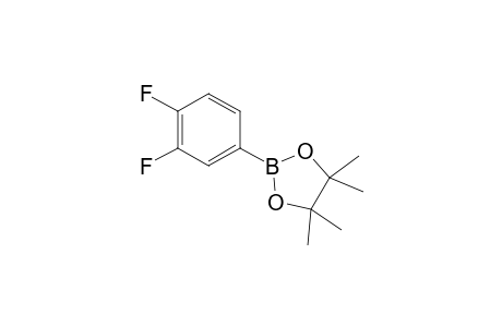 2-(3,4-Difluorophenyl)-4,4,5,5-tetramethyl-1,3,2-dioxaborolane