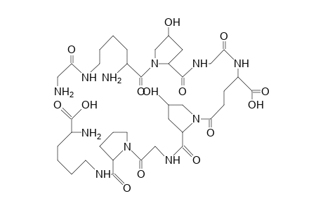 Gly-lys-hyp-gly-glu-hyp-gly-pro-lysine (cp9)