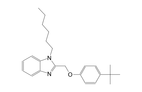 2-[(4-tert-butylphenoxy)methyl]-1-hexyl-1H-benzimidazole