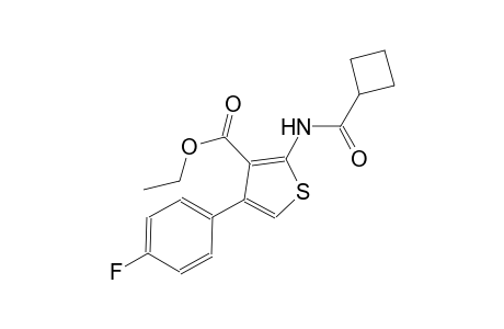 ethyl 2-[(cyclobutylcarbonyl)amino]-4-(4-fluorophenyl)-3-thiophenecarboxylate
