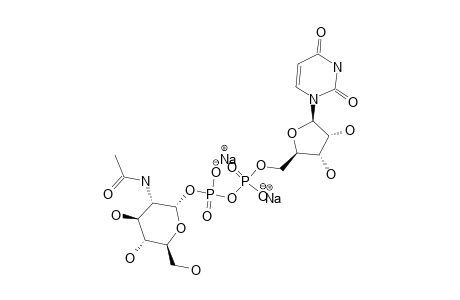 URIDINE-5'-DIPHOSPHONO-N-ACETYLGLUCOSAMINE;UDP-GLCNAC