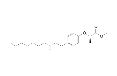 R-Methyl 2-[4-(2-heptylamino-ethyl)phenoxy]propanoate