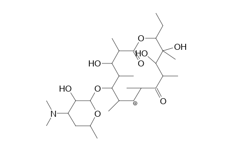 Clarithromycin-M (declad-) MS3_1