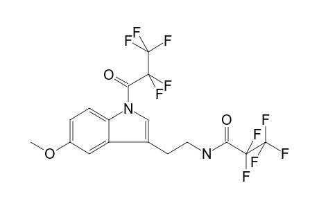 Pfp(pentafluoropropionic) derivatives of 5mt(5-methoxytryptamine)