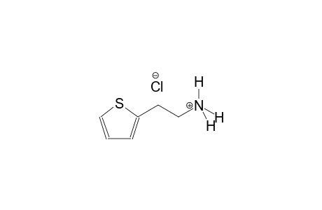 2-thiopheneethanaminium, chloride