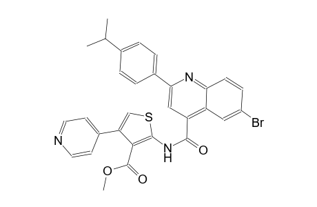 methyl 2-({[6-bromo-2-(4-isopropylphenyl)-4-quinolinyl]carbonyl}amino)-4-(4-pyridinyl)-3-thiophenecarboxylate