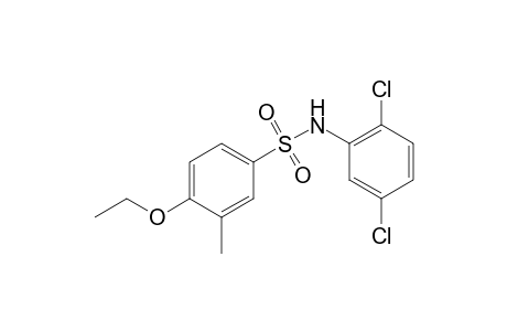 Benzenesulfonamide, N-(2,5-dichlorophenyl)-4-ethoxy-3-methyl-