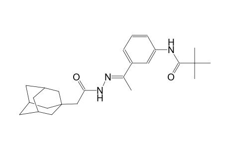 N-{3-[(1E)-N-(1-adamantylacetyl)ethanehydrazonoyl]phenyl}-2,2-dimethylpropanamide