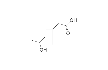 D,L-2,2-dimethyl-3-(1-hydroxyethyl)cyclobutaneacetic acid