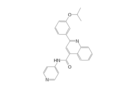 2-(3-isopropoxyphenyl)-N-(4-pyridinyl)-4-quinolinecarboxamide