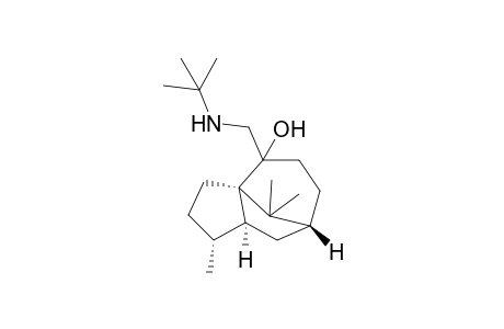 (1R,3aR,7R,8aS)-4-(tert-Butylamino-methyl)-1,9,9-trimethyl-octahydro-3a,7-methano-azulen-4-ol