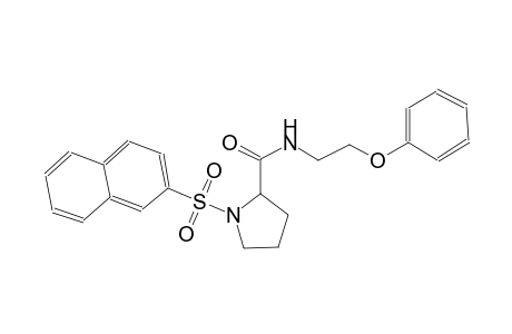 1-(2-naphthylsulfonyl)-N-(2-phenoxyethyl)-2-pyrrolidinecarboxamide