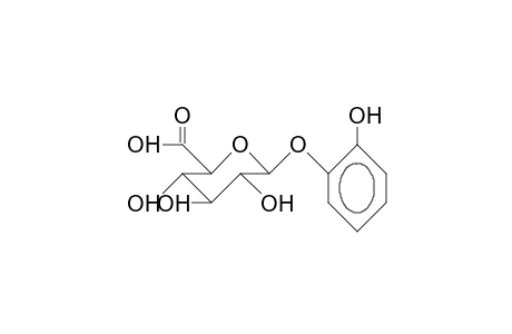 O6-(2-Hydroxy-phenyl)-glucuronic acid