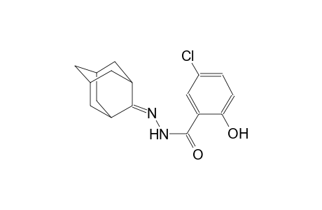 5-chloro-2-hydroxy-N'-tricyclo[3.3.1.1~3,7~]dec-2-ylidenebenzohydrazide