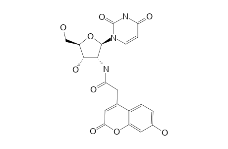 2-(7-HYDROXY-2-OXO-2H-CHROMEN-4-YL)-N-(URIDIN-2'-YL)-ACETAMIDE