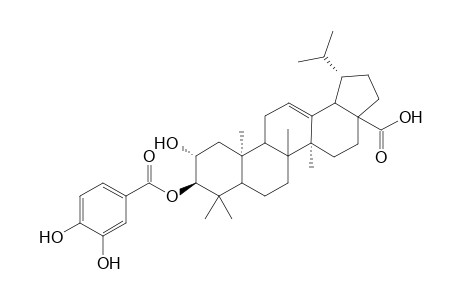 2.alpha.,3.beta.-Dihydroxylup-12-en-28-oic Acid - 3'-(3",4"-Dihydroxybenzoyl) Ester