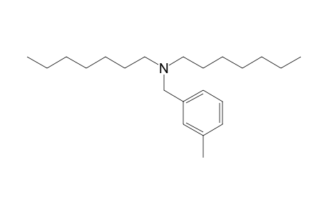 3-Methylbenzylamine, N,N-diheptyl-