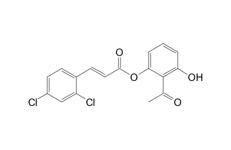 2'-(2,4-Dichlorocinnamoyloxy)-6'-hydroxyacetophenone