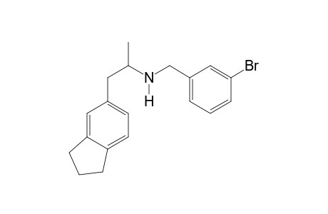 5-APDI N-(3-bromobenzyl)