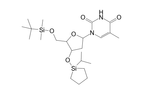 5'-O-tert-butyldimethylsilyl-3'-O-cyclo-tetramethyleneisopropylsilylthymidine