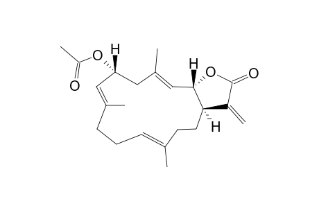 acetic acid [(1R,4E,8E,10R,12E,14S)-16-keto-4,8,12-trimethyl-17-methylene-15-oxabicyclo[12.3.0]heptadeca-4,8,12-trien-10-yl] ester