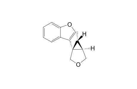 3-((1S,5R,6R)-6-Methyl-3-oxa-bicyclo[3.1.0]hex-1-yl)-benzofuran