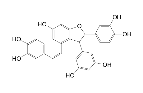 (Z)- 4-[.beta.-(3,4-Dihydroxyphenyl)ethenyl]-2-(3',5'-dihydroxyphenyl)-3-(3",4"-dihydroxyphenyl)-6-hydroxy-2,3-dihydrobenzofuran