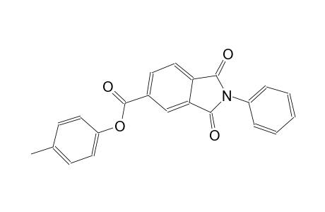 1H-isoindole-5-carboxylic acid, 2,3-dihydro-1,3-dioxo-2-phenyl-, 4-methylphenyl ester