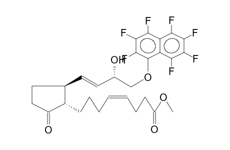 (+/-)-15ALPHA-11-DEOXY-1-HOMO-3,4-CIS-DIDEHYDRO-16-(HEPTAFLUORO-1-NAPHTHYLOXY)-17,18,19,20-TETRANORPROSTOGLANDIN E1, METHYL ESTER