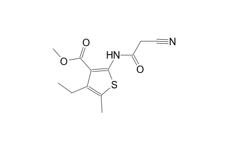 methyl 2-[(cyanoacetyl)amino]-4-ethyl-5-methyl-3-thiophenecarboxylate