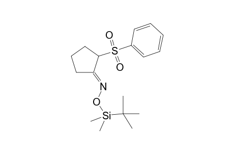 2-Phenylsulfonylcyclopentan-1-one oxime-O-tert-butyldimethylsilyl ether
