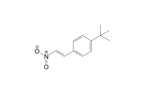 (E)-1-(tert-butyl)-4-(2-nitrovinyl)benzene