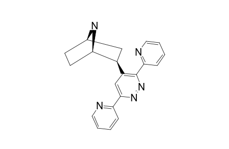 exo-2-(3,6-Dipyridin-2-ylpyridazin-4-yl)-7-azabicyclo[2.2.1]heptane