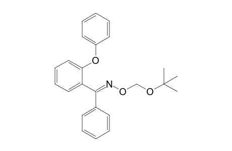 (E)-tert-butoxymethoxy-[(2-phenoxyphenyl)-phenyl-methylene]amine