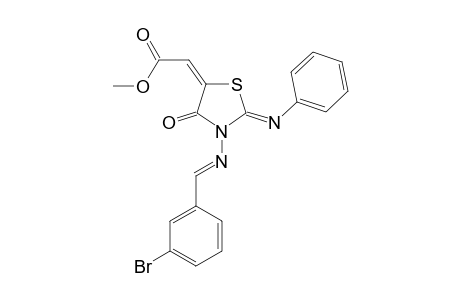 METHYL-2-[3-[[(E)-1-(3-BROMOPHENYL)-METHYLIDENE]-AMINO]-4-OXO-2-(PHENYLIMINO)-1,3-THIAZOLAN-5-YLIDENE]-ACETATE