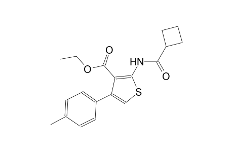 ethyl 2-[(cyclobutylcarbonyl)amino]-4-(4-methylphenyl)-3-thiophenecarboxylate