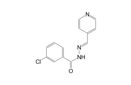 3-chloro-N'-[(E)-4-pyridinylmethylidene]benzohydrazide