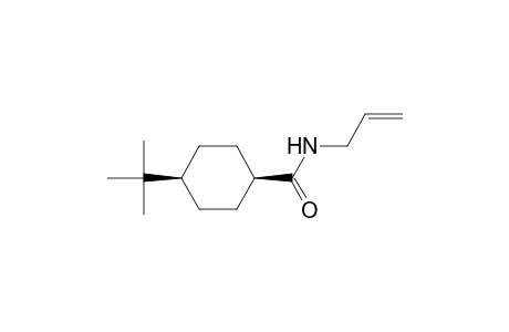 cis-4-tert-Butyl-N-allylcyclohexanecarboxamide