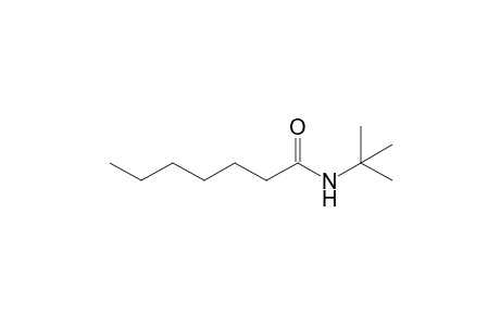 N-(tert-Butyl)heptanamide