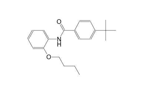 N-(2-Butoxyphenyl)-4-tert-butylbenzamide