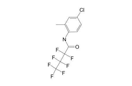 4-Chloro-o-toluidine, N-heptafluorobutyryl-